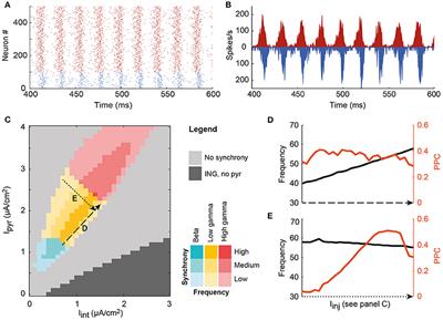 Phase Difference between Model Cortical Areas Determines Level of Information Transfer